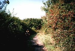 ufahrt-I-8a.jpg - 