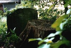 ufahrt-I-7a.jpg - 